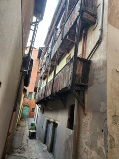 Photos taken from local organizing team - Fourvier Visite - ICPR 2026 38