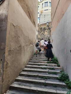 Photos taken from local organizing team - Fourvier Visite - ICPR 2026 39
